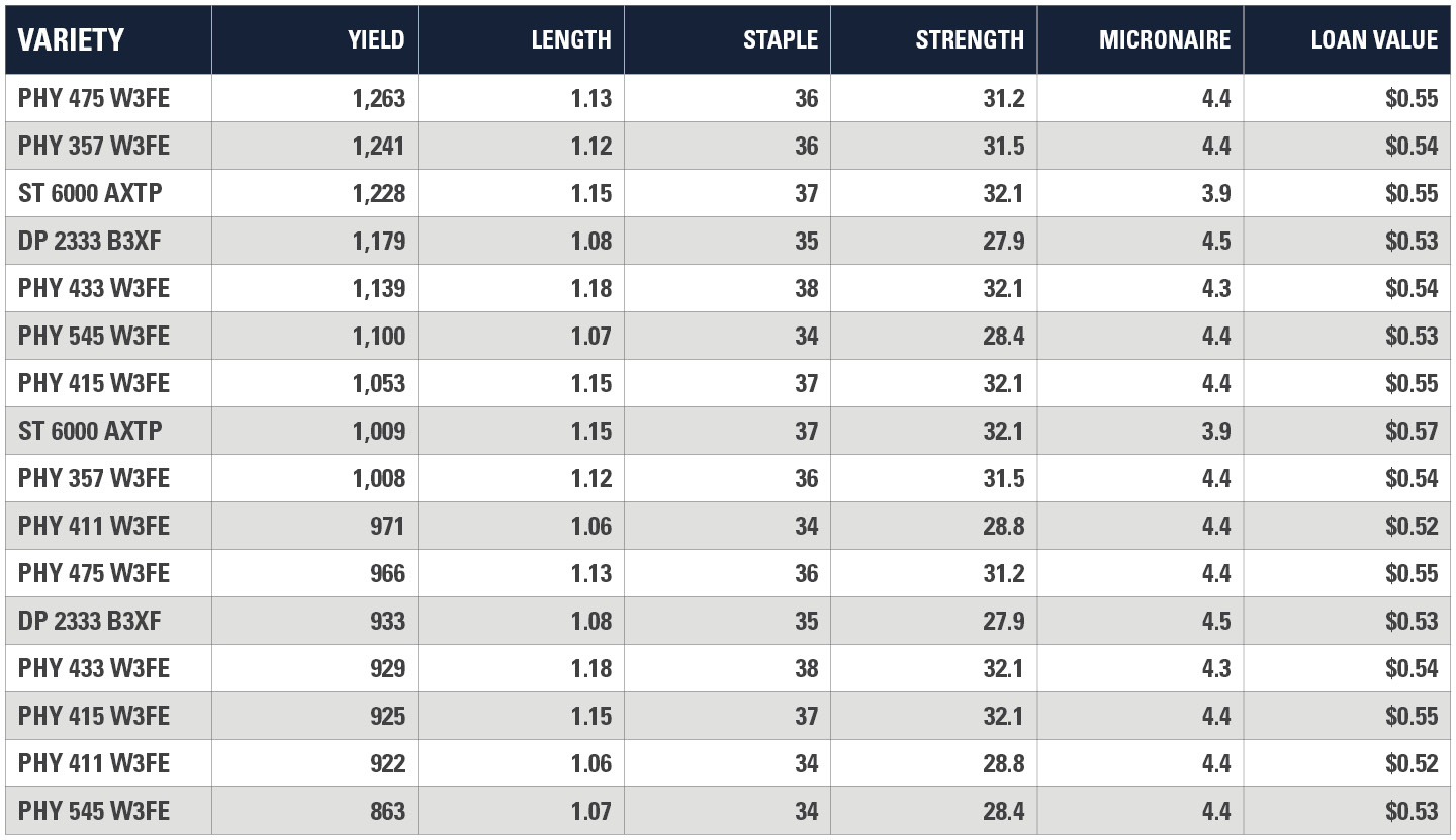 Screven County Georgia Yield Chart
